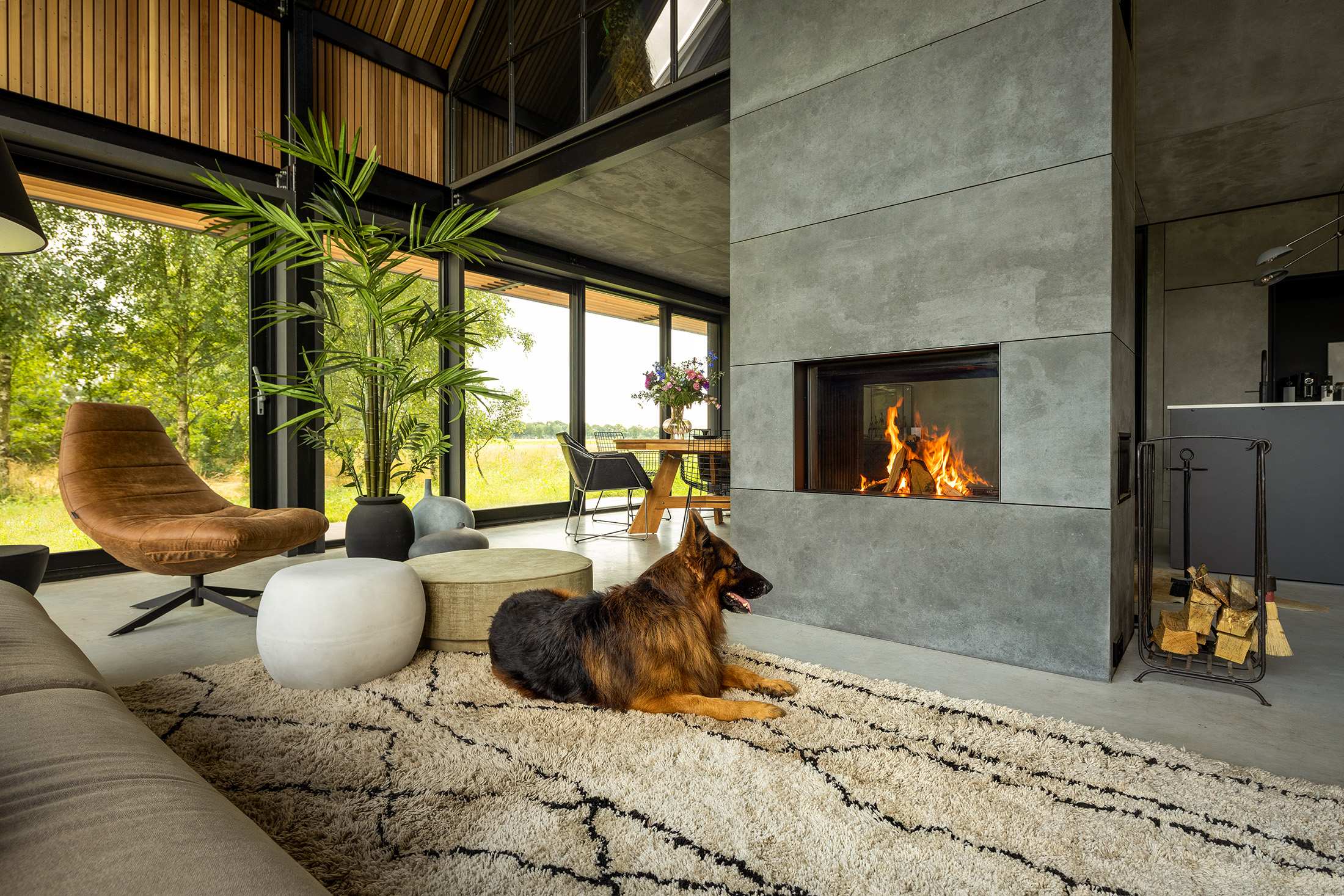 Dog infront of a fireplace